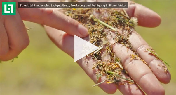 Video Beitrag in der Zeitschrift Land und Forst - Ernten für die Region: So wird regionales Saatgut für Niedersachsen hergestellt