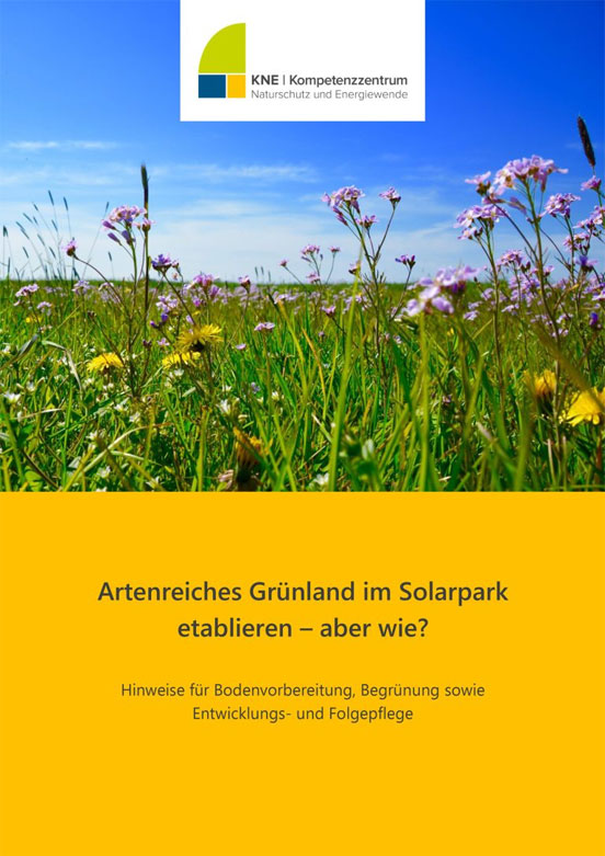 KNE-Publikation: Artenreiches Grünland im Solarpark etablieren - aber Wie?